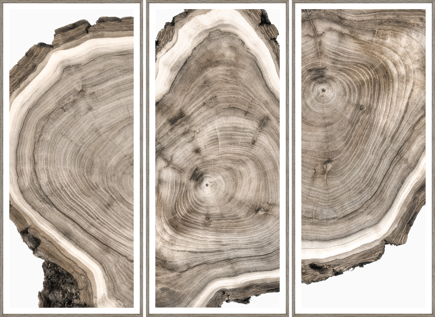 Live Edge Triptych