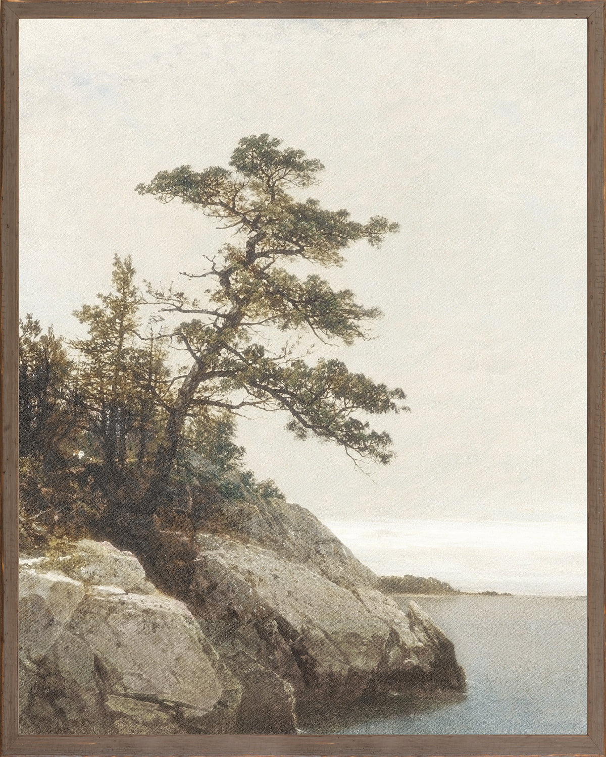 Northern Collection - The Old Pine C. 1872 - Large