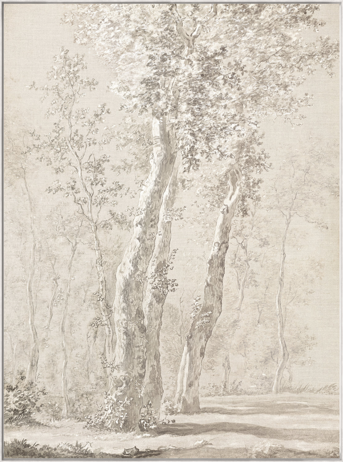Sunlit Trees C. 1822 - Framed Canvas