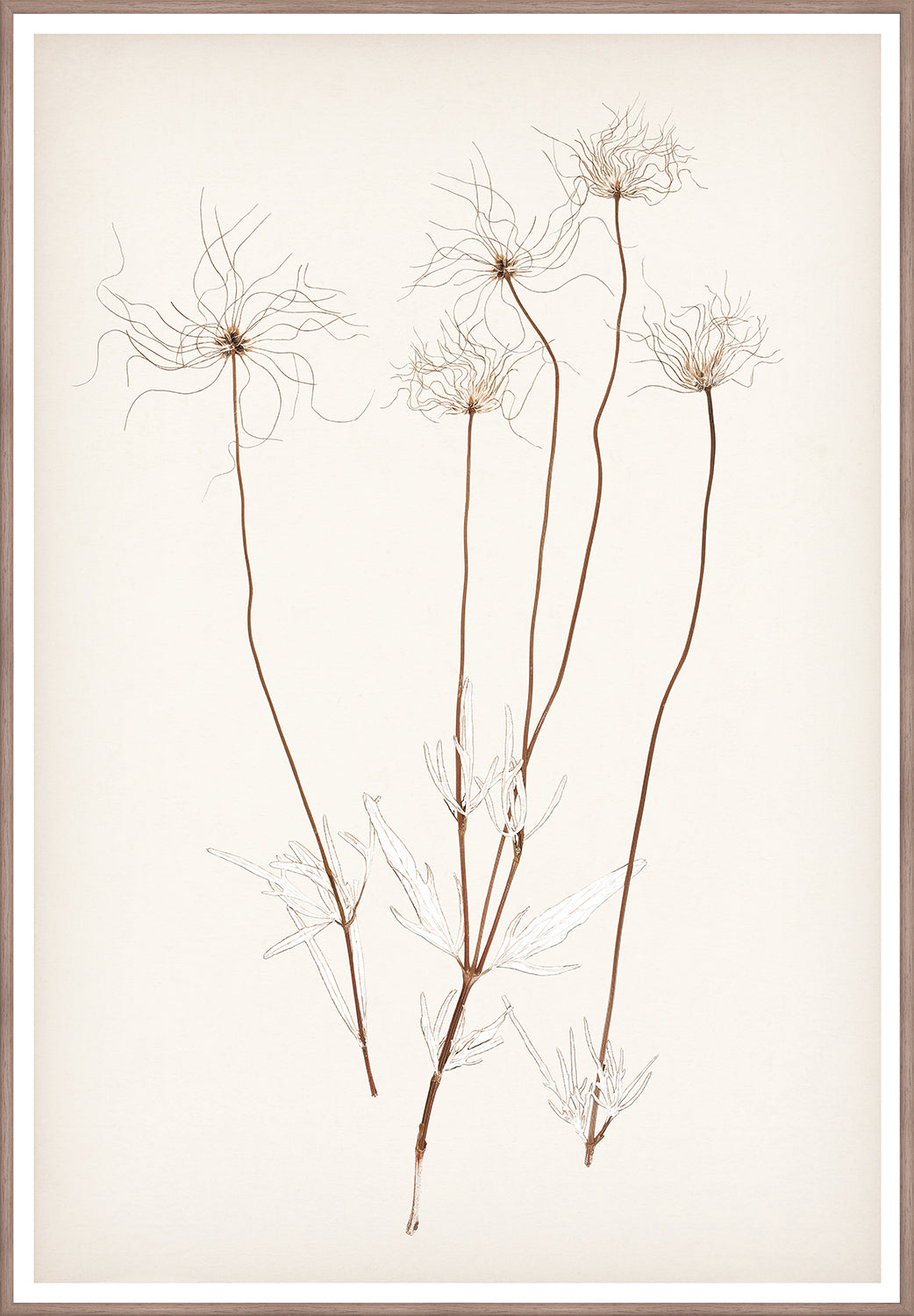 Botanical In Umber III - Large