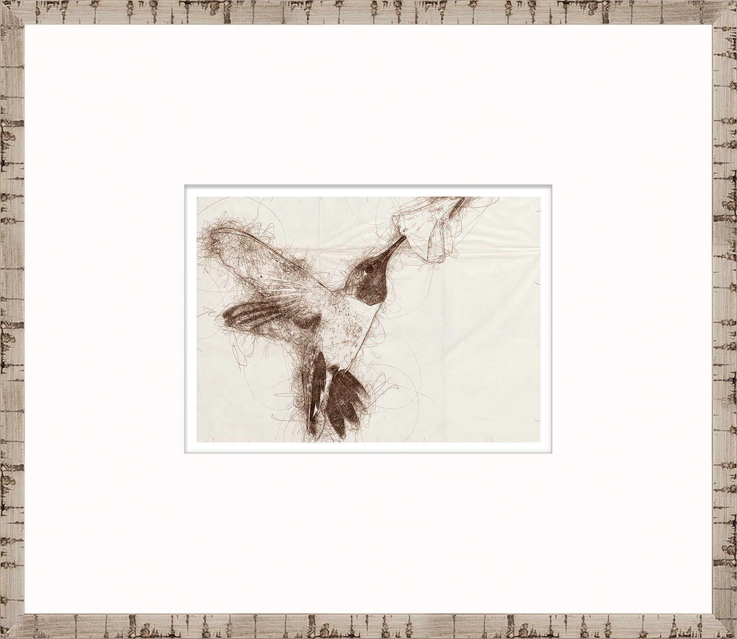 Nature Sketch - Hummingbird I