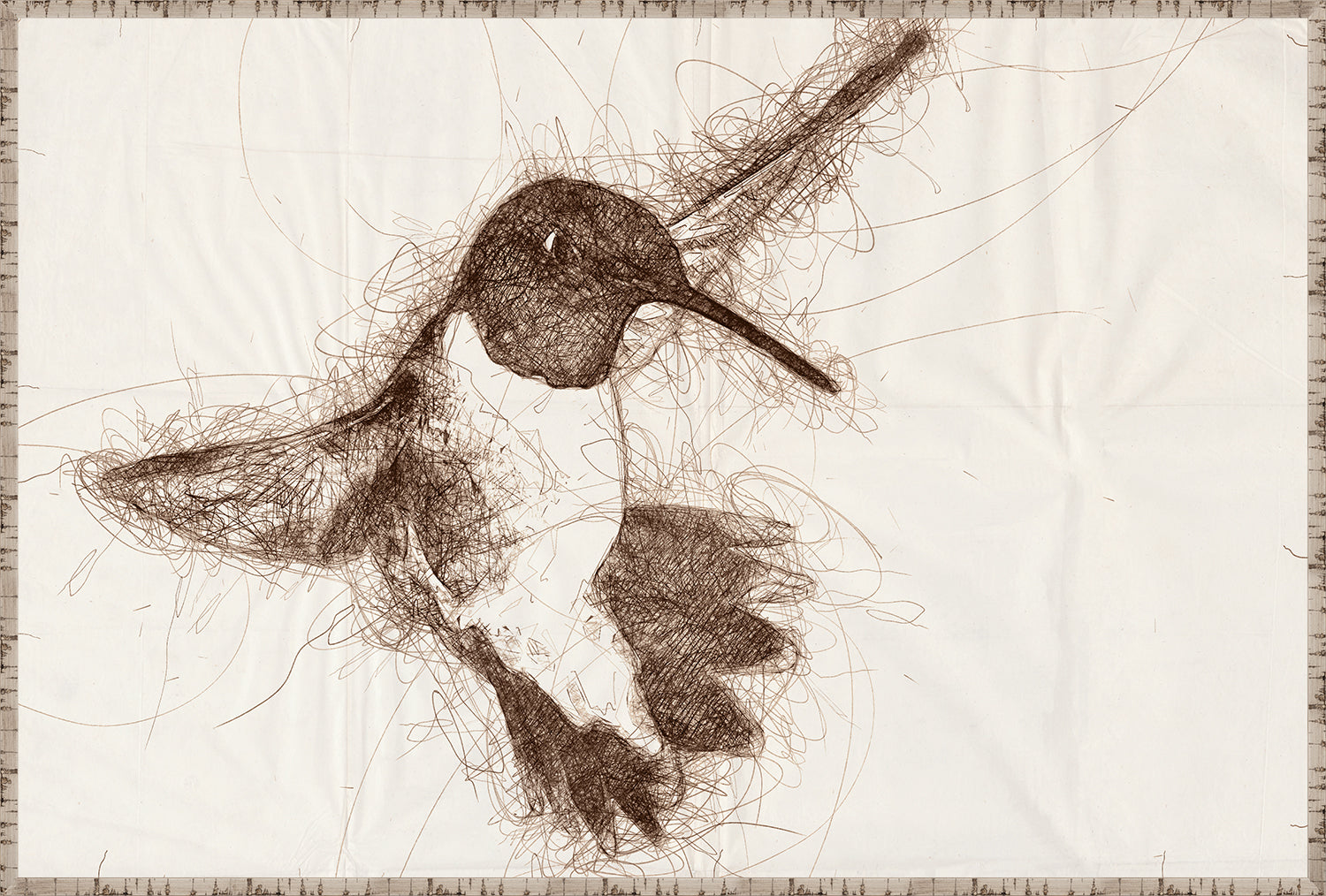 Nature Sketch - Hummingbird II - Canvas on Board
