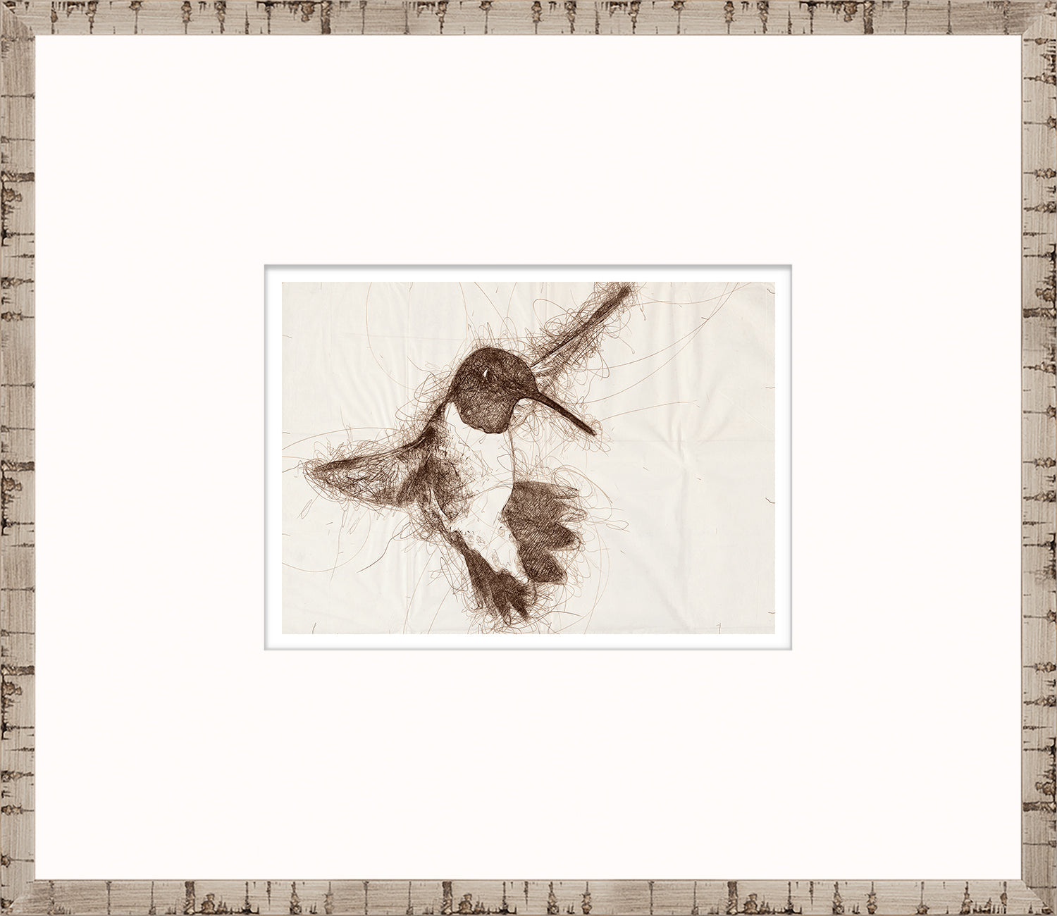 Nature Sketch - Hummingbird II