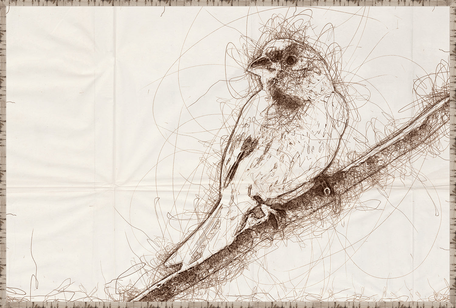 Nature Sketch - Grosbeak - Canvas on Board