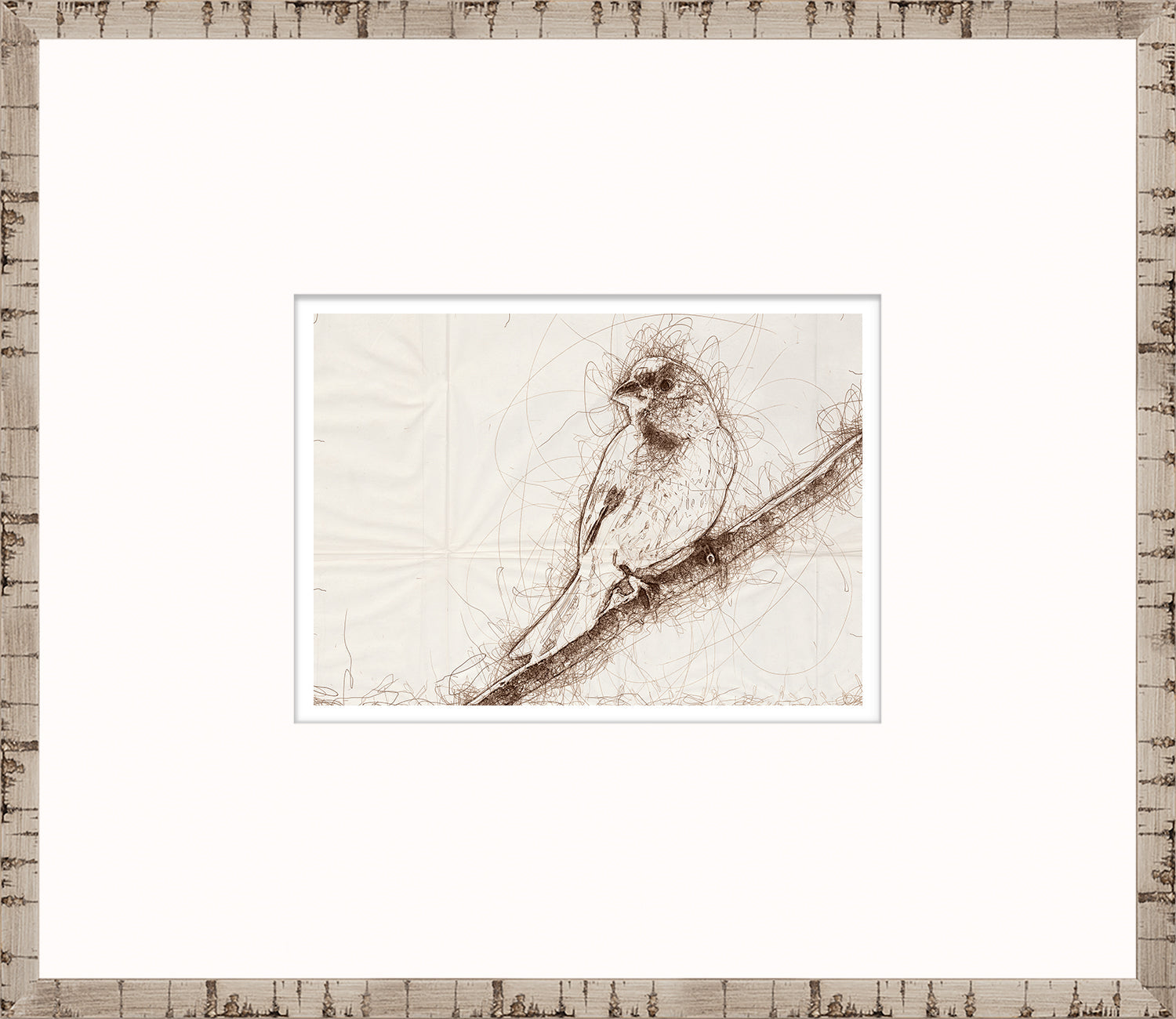 Nature Sketch - Grosbeak