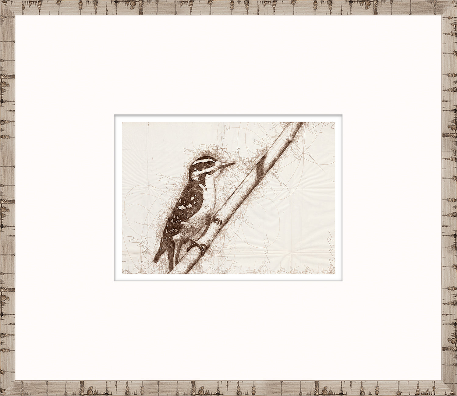 Nature Sketch - Woodpecker I