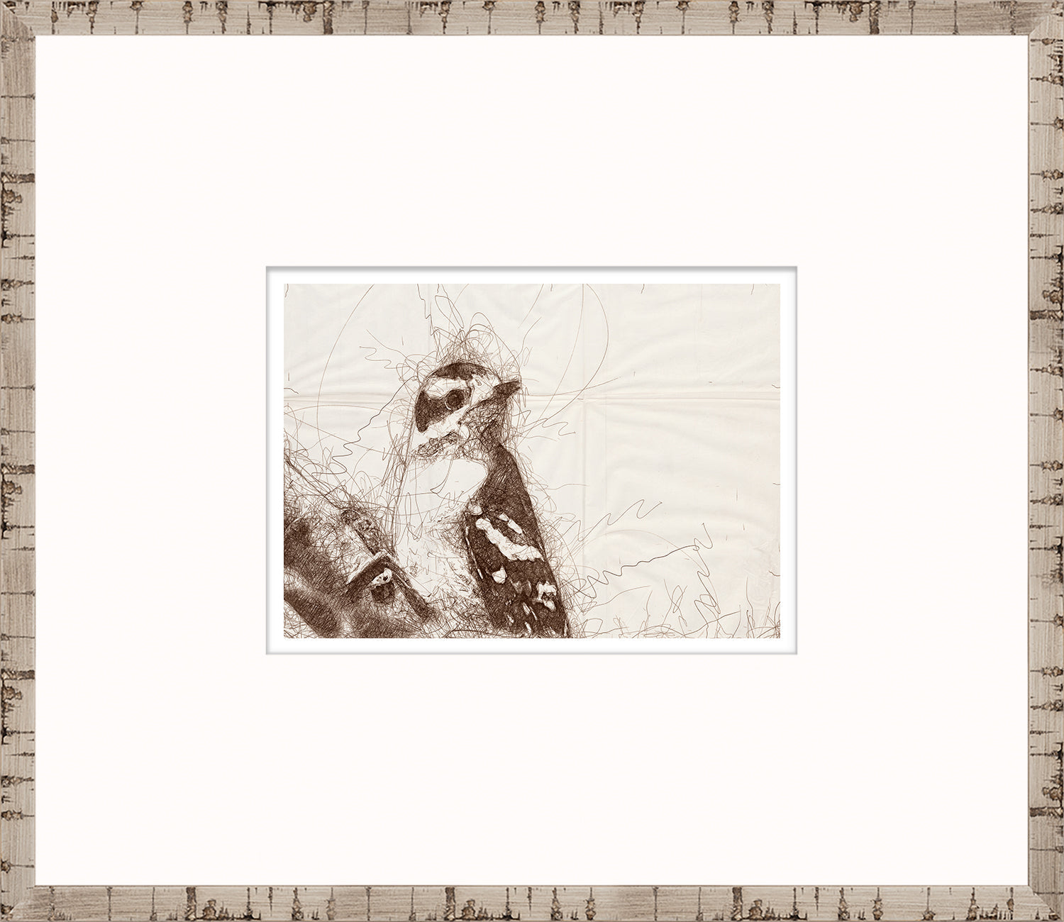Nature Sketch - Woodpecker II
