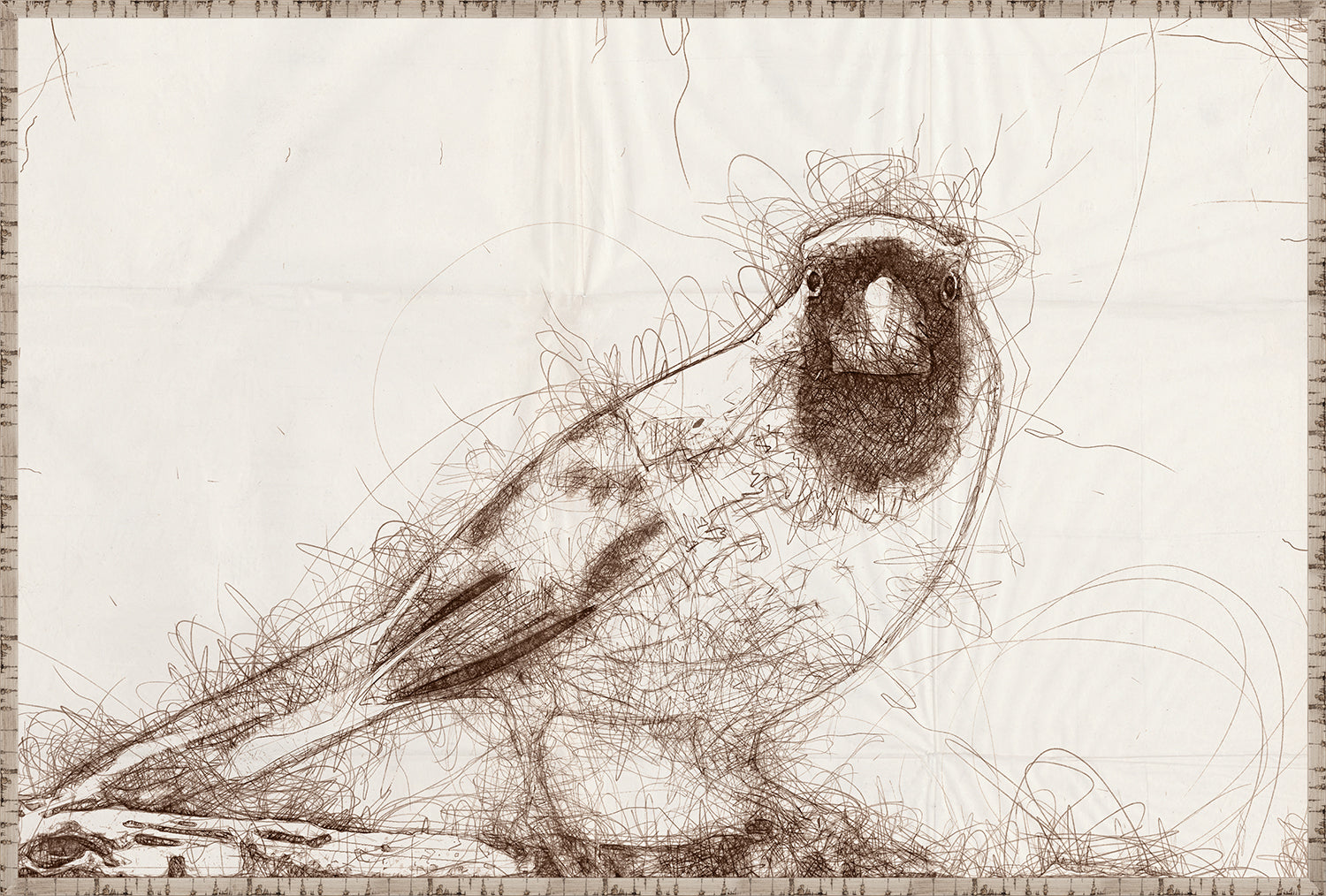 Nature Sketch - Cardinal I - Canvas on Board