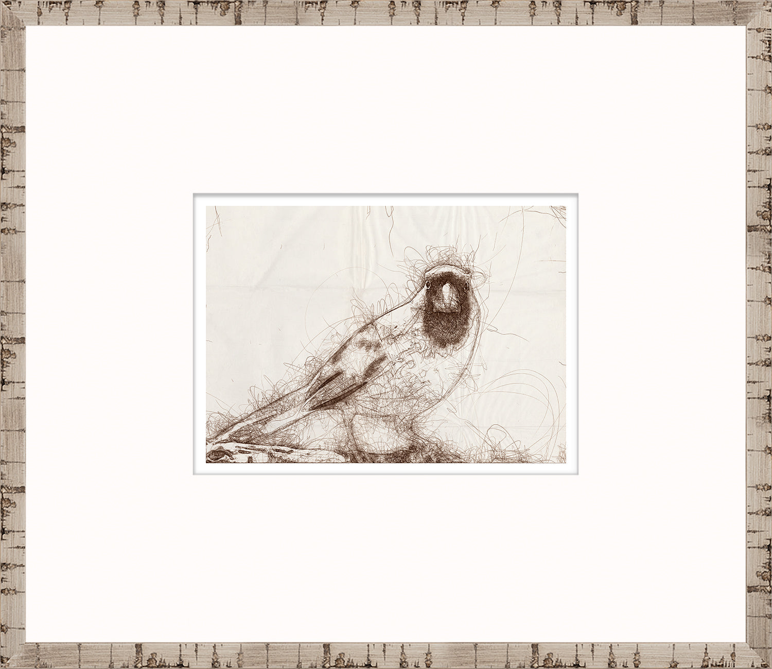 Nature Sketch - Cardinal I