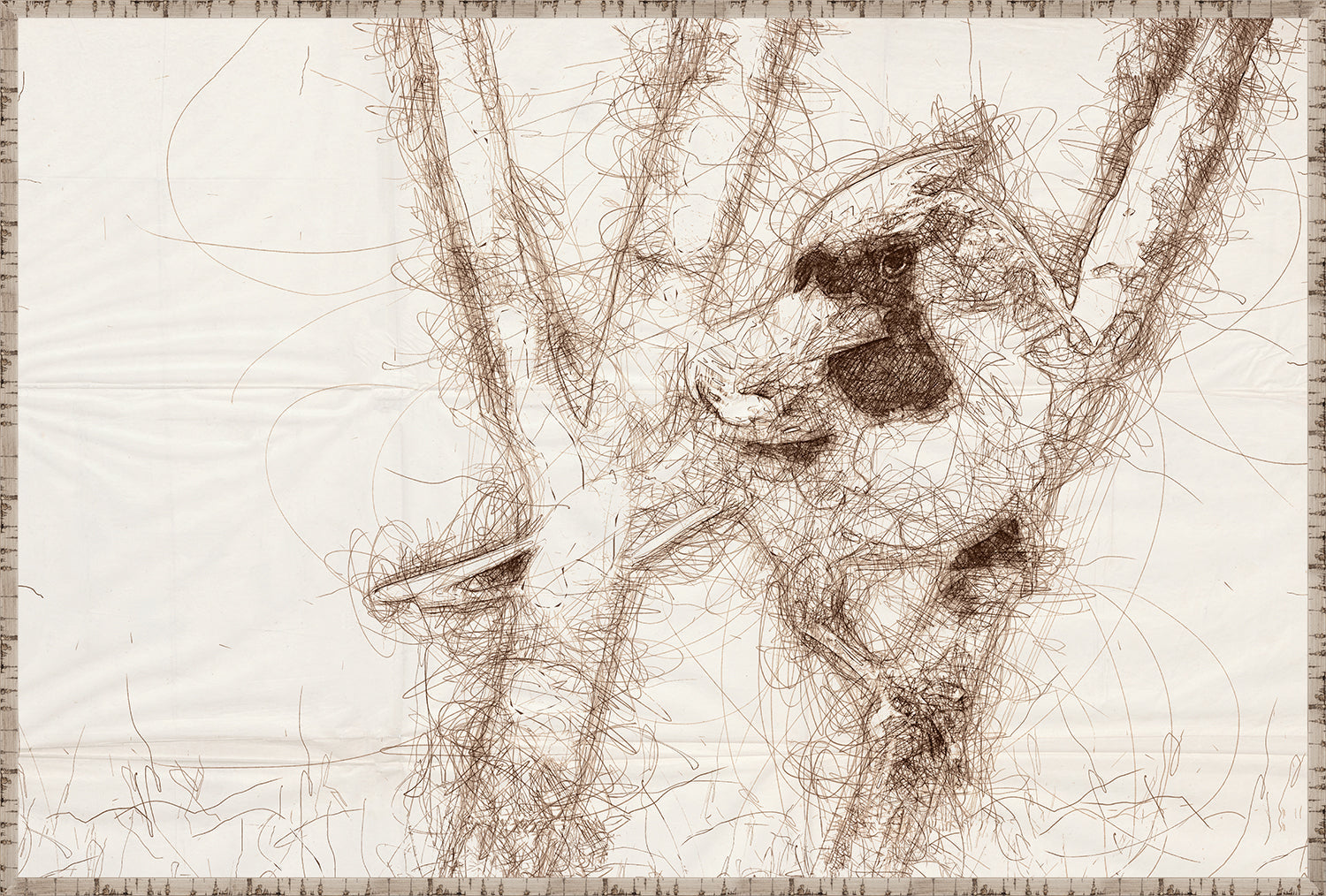 Nature Sketch - Cardinal II - Canvas on Board