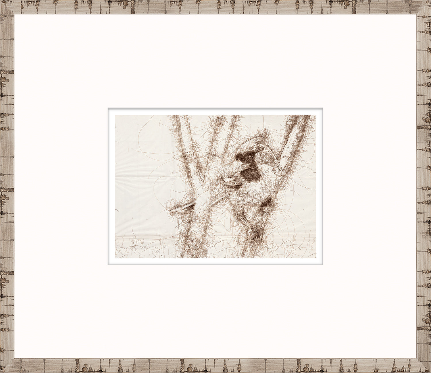 Nature Sketch - Cardinal II