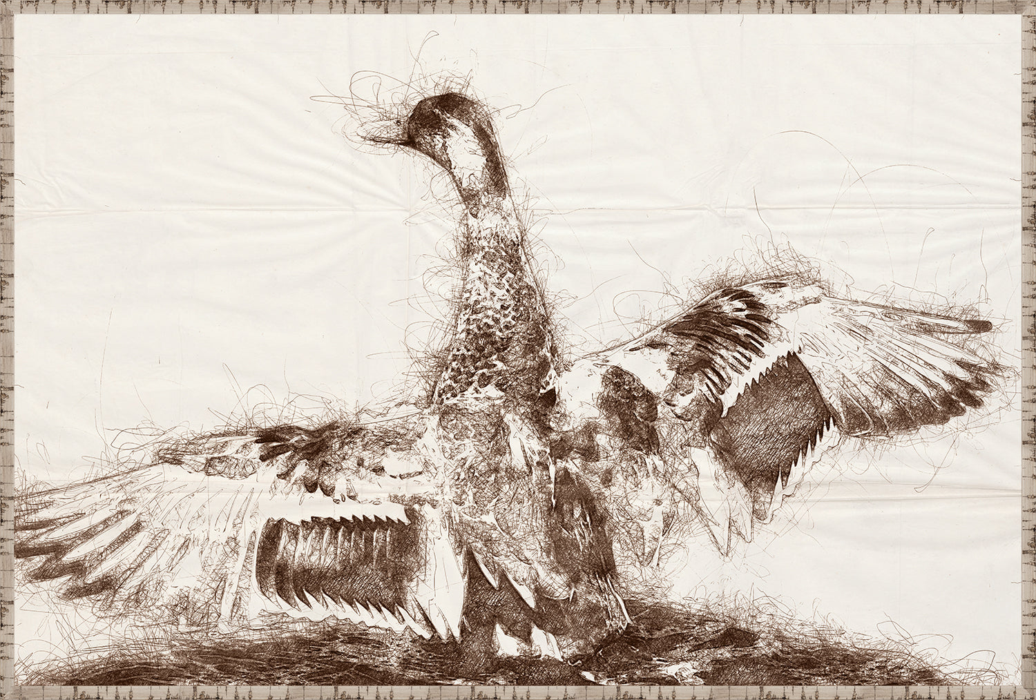 Nature Sketch - Wingspan - Canvas on Board