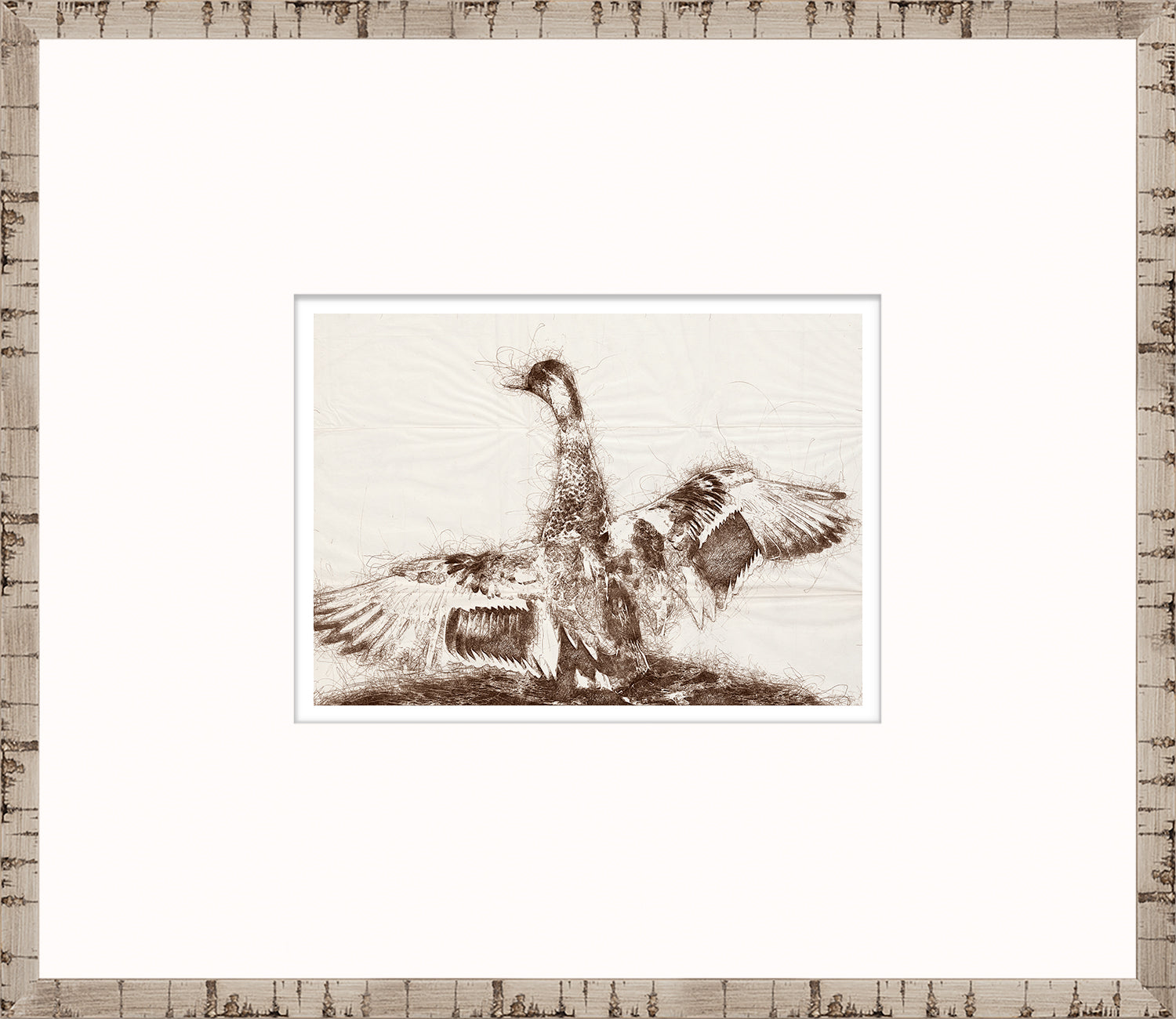 Nature Sketch - Wingspan