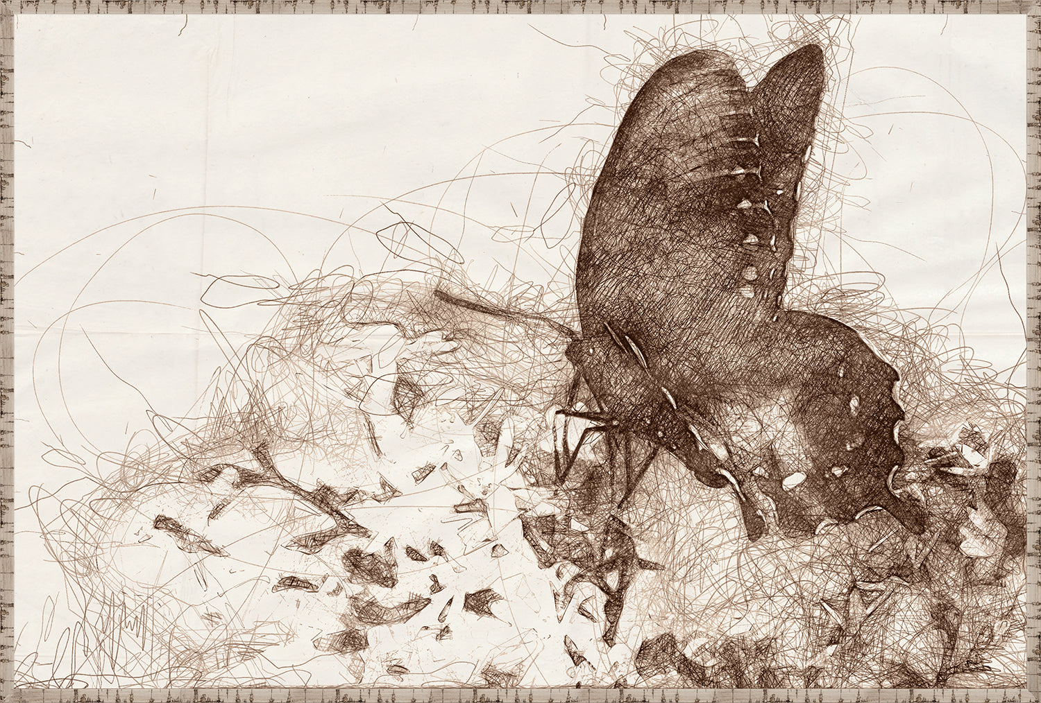 Nature Sketch - Butterfly - Canvas on Board