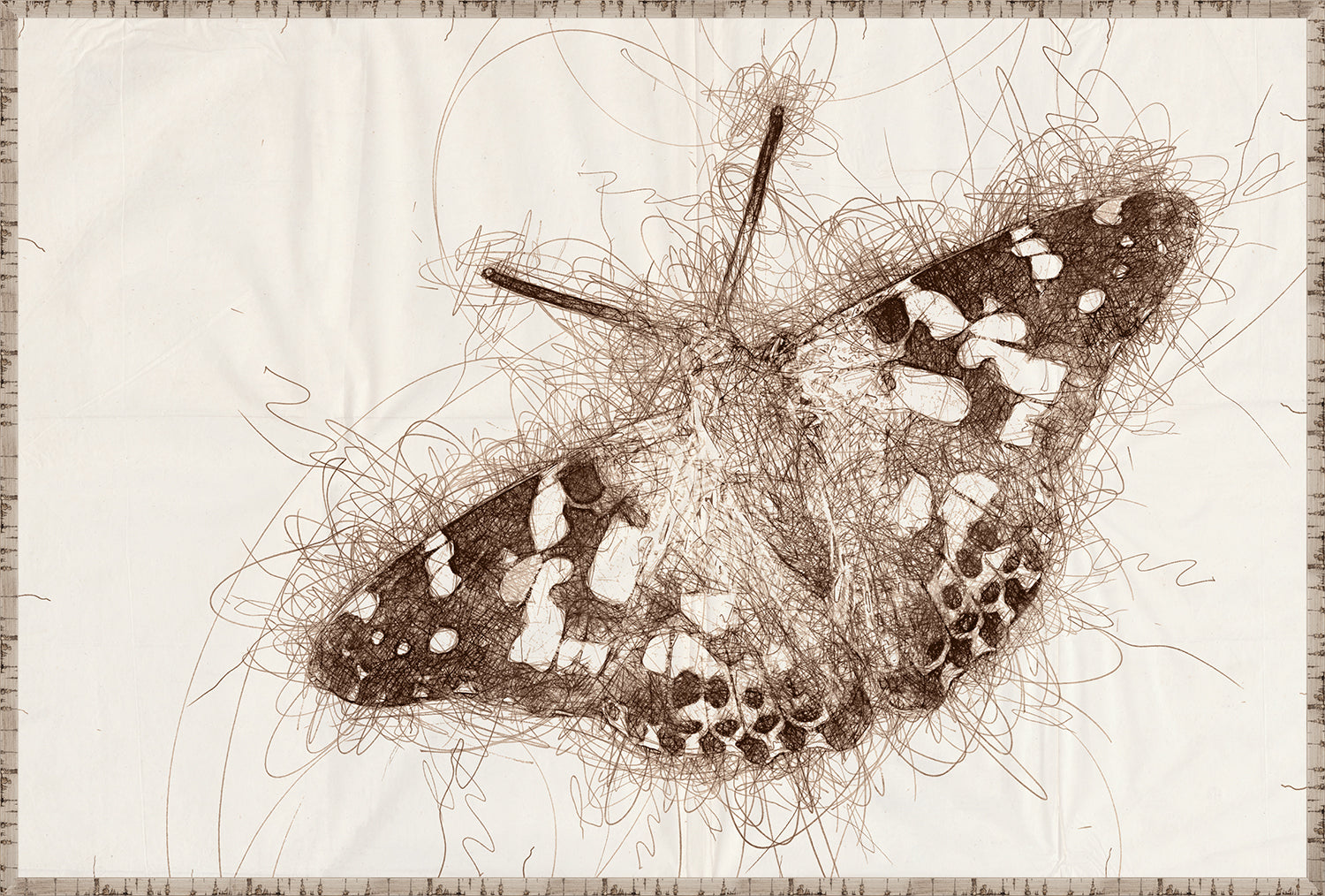 Nature Sketch - Moth - Canvas on Board