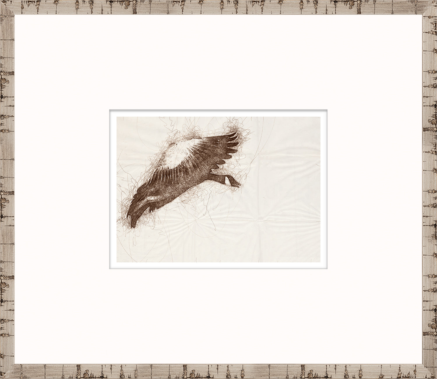 Nature Sketch - Goose in Flight