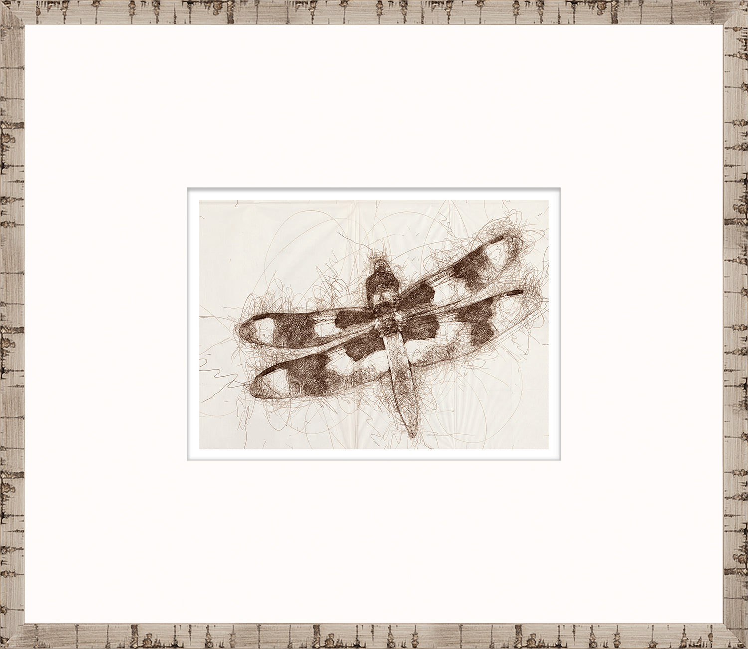 Nature Sketch - Dragonfly I