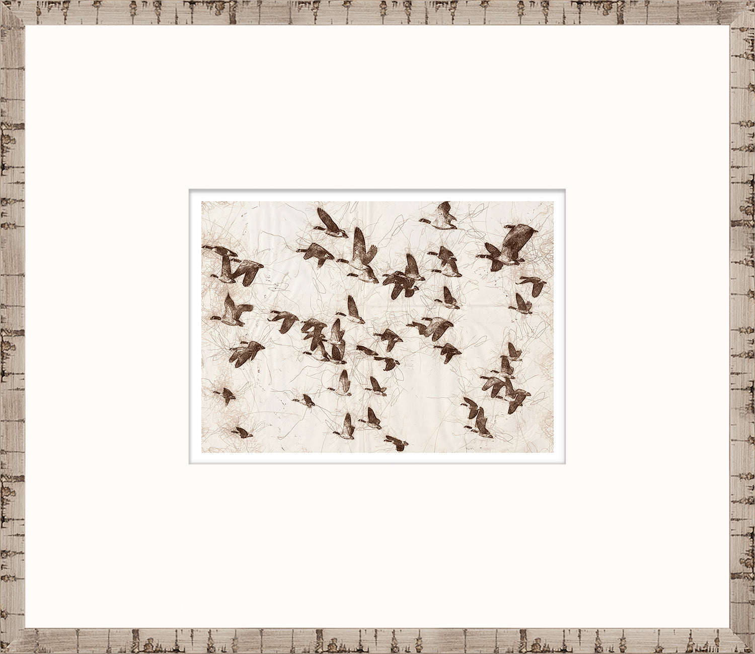 Nature Sketch - Flock