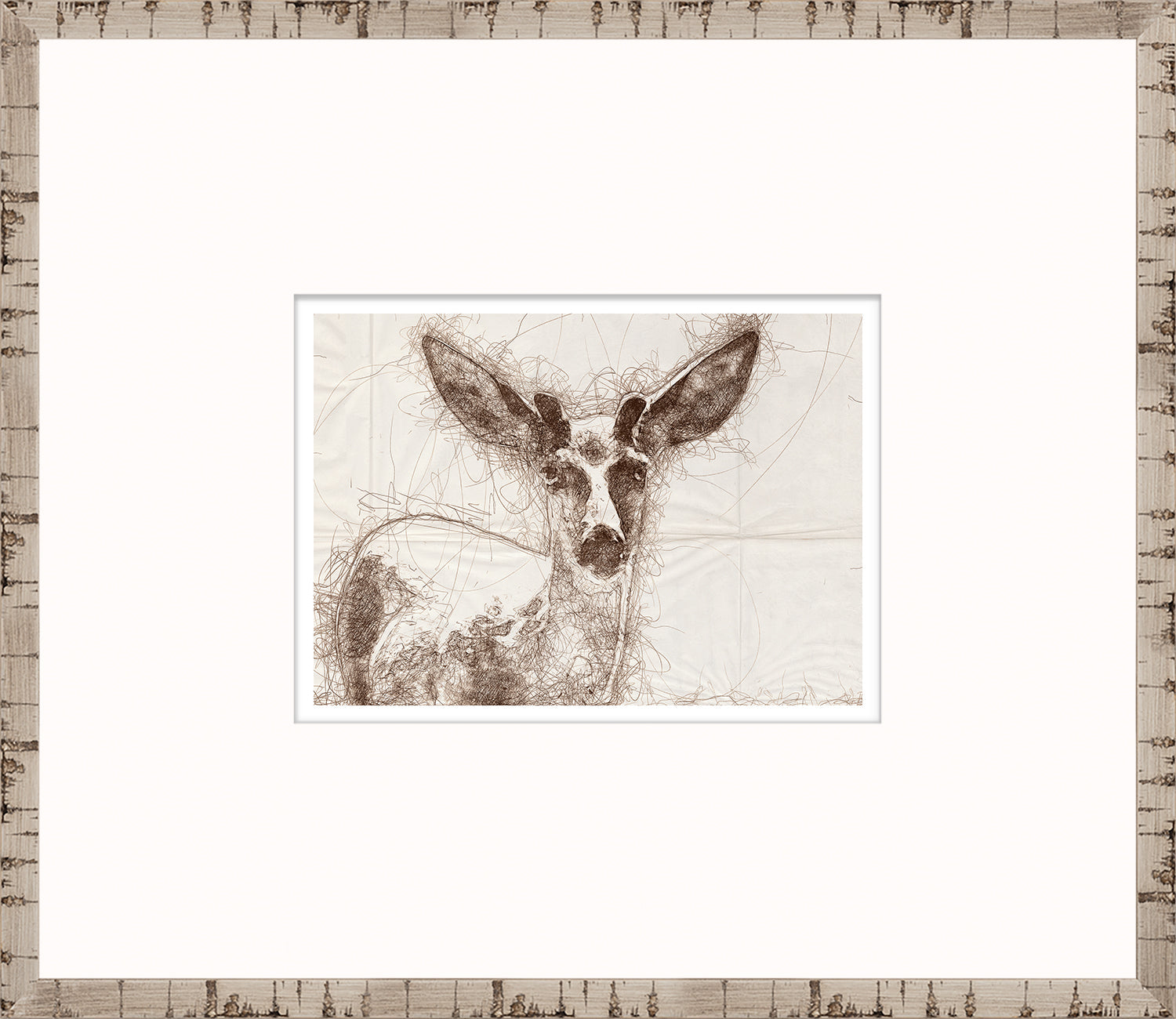 Nature Sketch - Deer Close Up