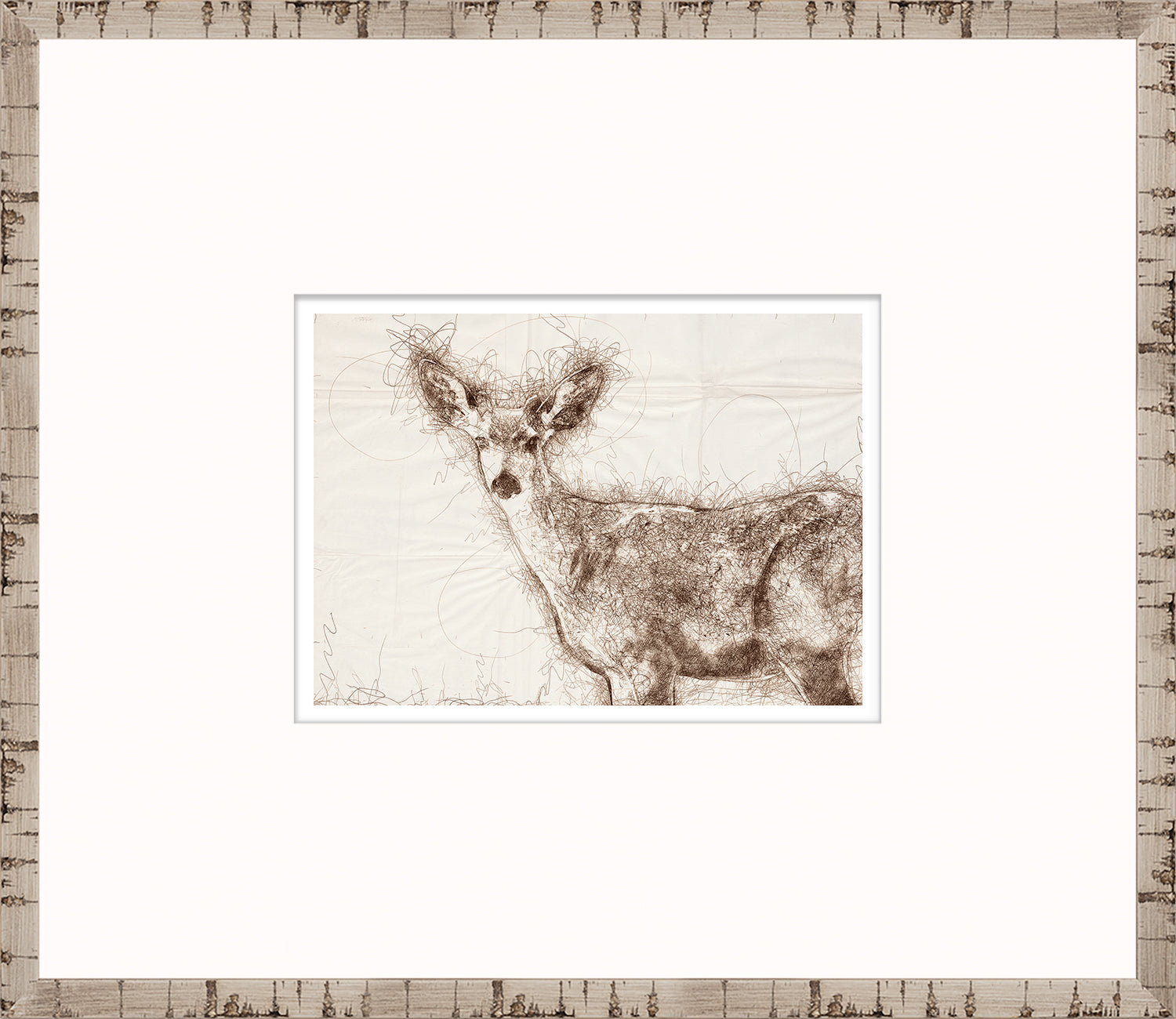 Nature Sketch - Doe