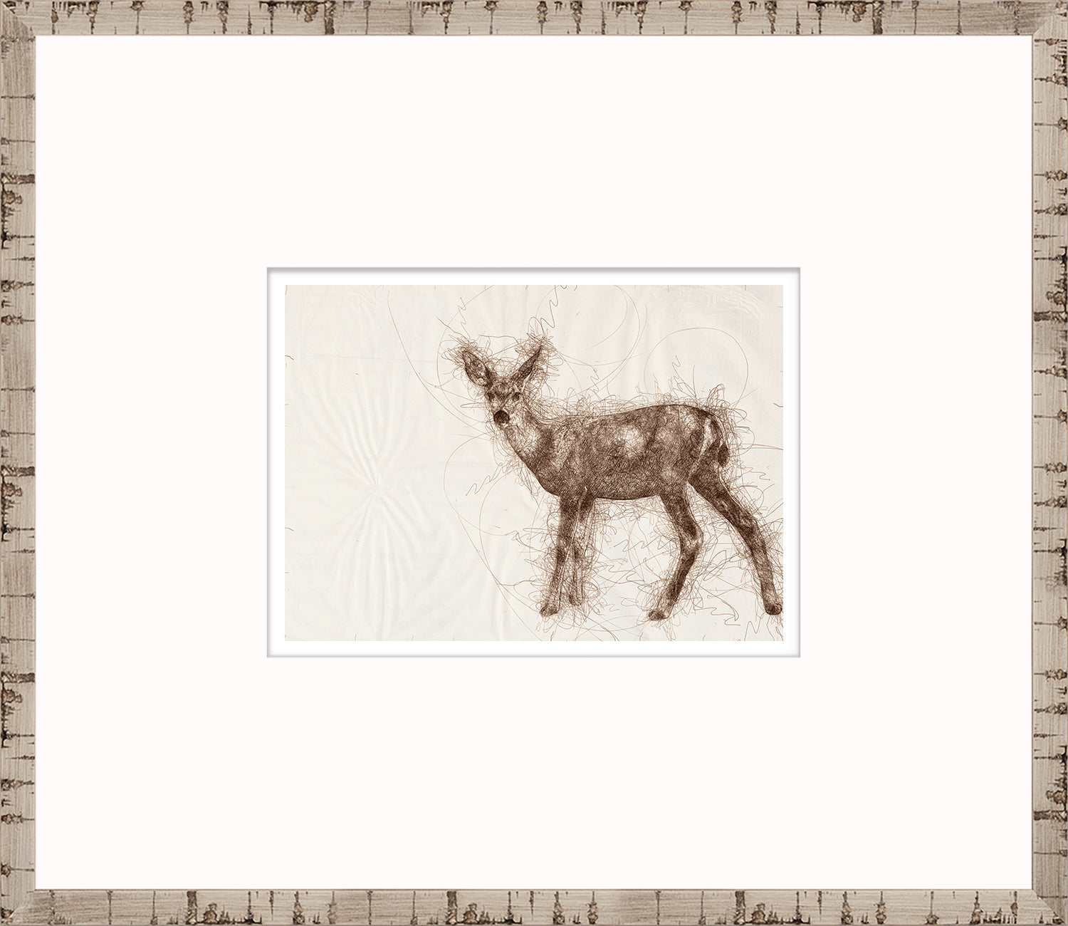 Nature Sketch - Fawn II