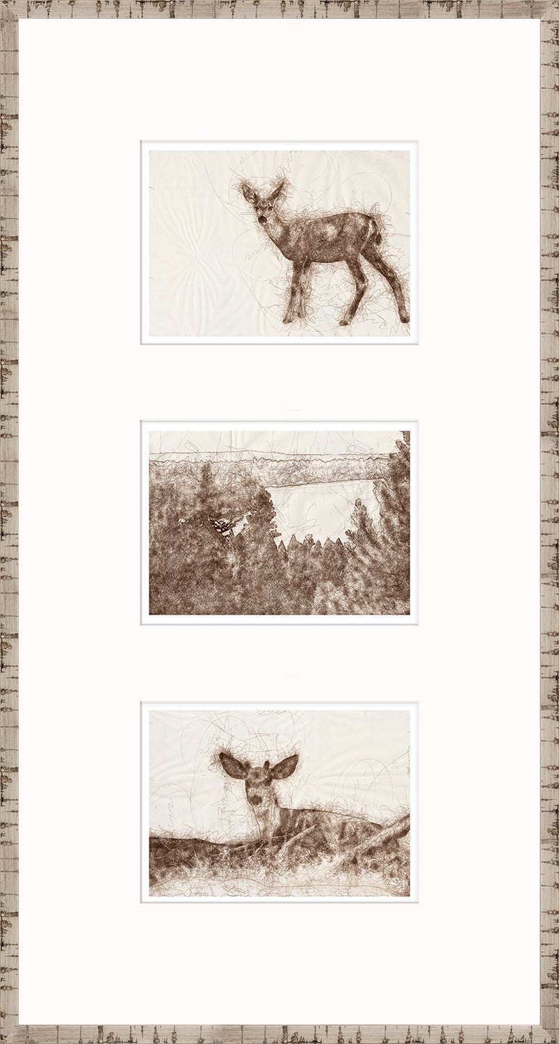 Nature Sketch IV