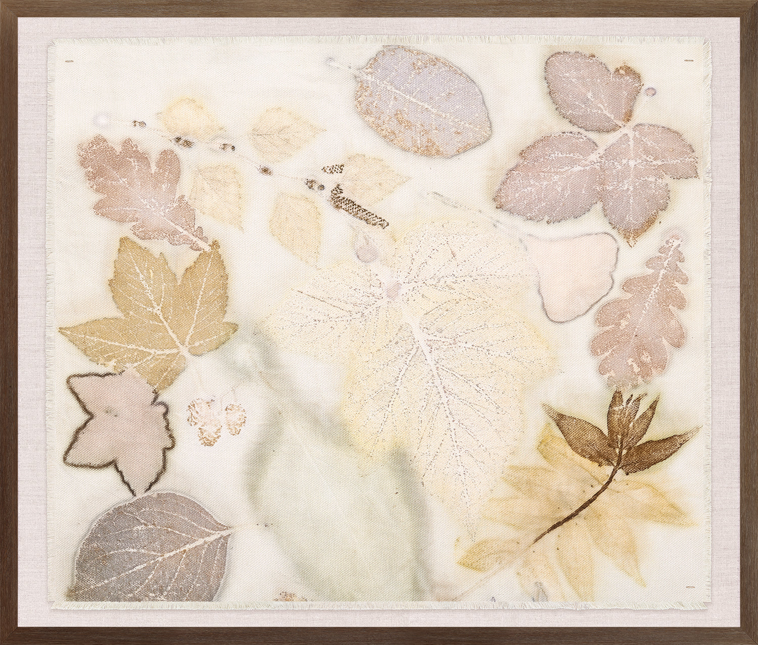 Eco-Prints I