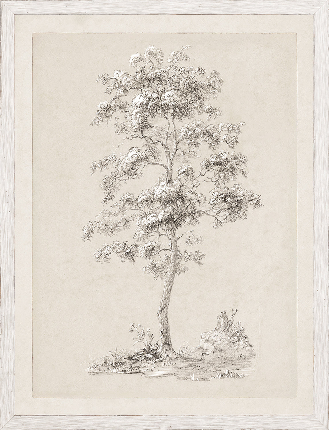 Tree Study - Graphite and Gouache III - Small
