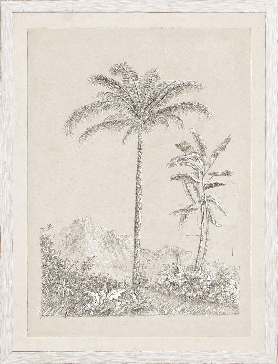 Tree Study - Graphite and Gouache V - Small