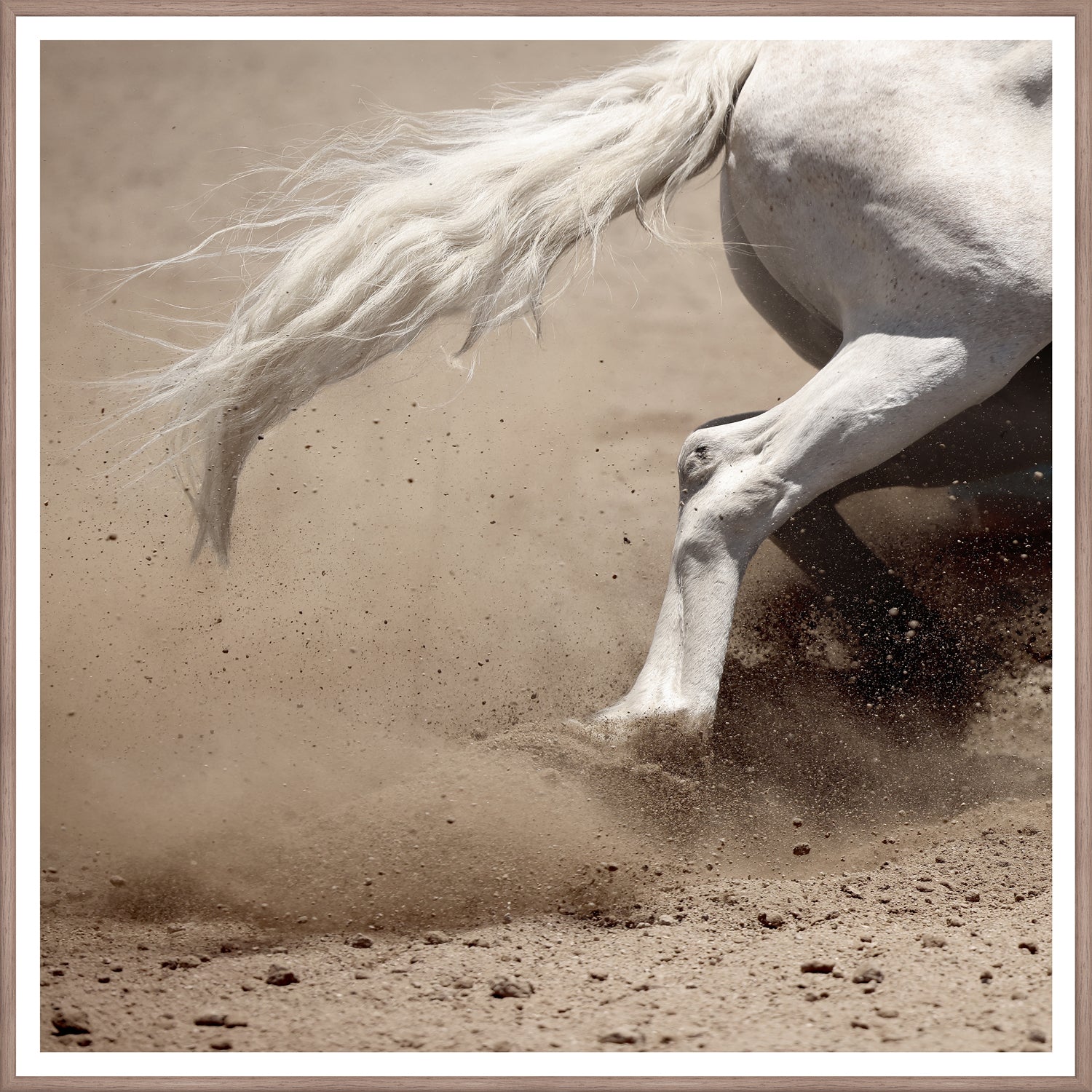 Barrel Racing I - Large
