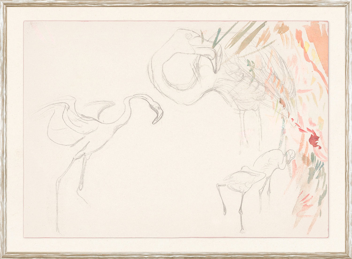 Collection 24 - Flamingo Graphite Study C. 1910 - Large