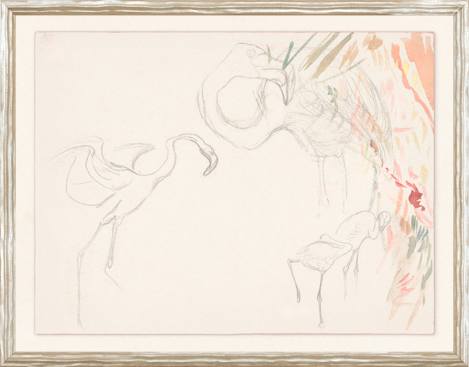 Collection 24 - Flamingo Graphite Study C. 1910 - Small