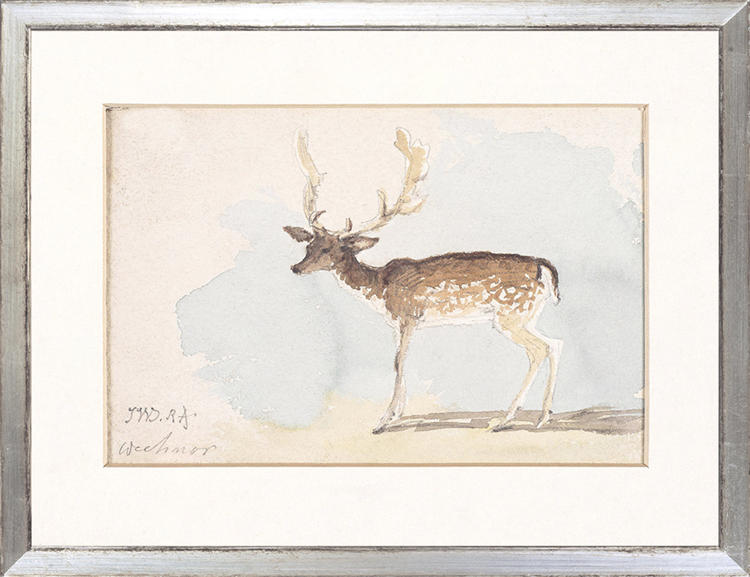 Collection 24 - Watercolour Deer Study C. 1822 - Small