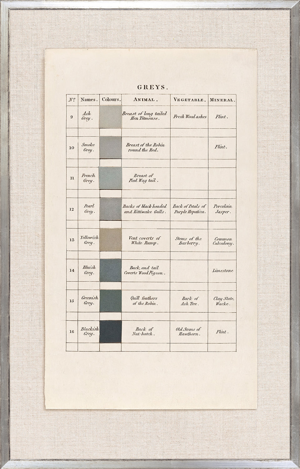 Collection 24 - Colour Illustrations, Greys C. 1787 - Large