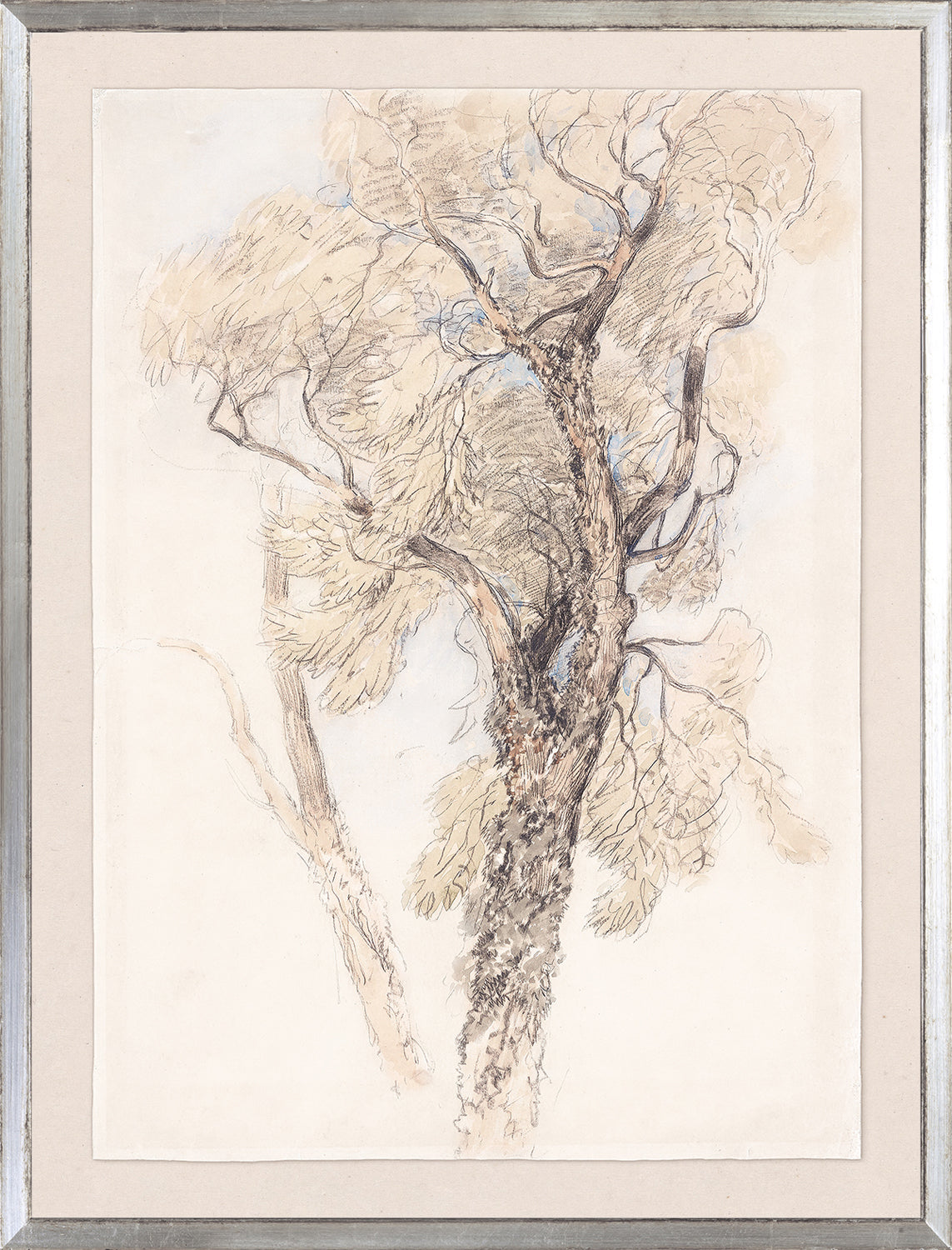 Collection 24 - Watercolour Tree Study C. 1889 - Large