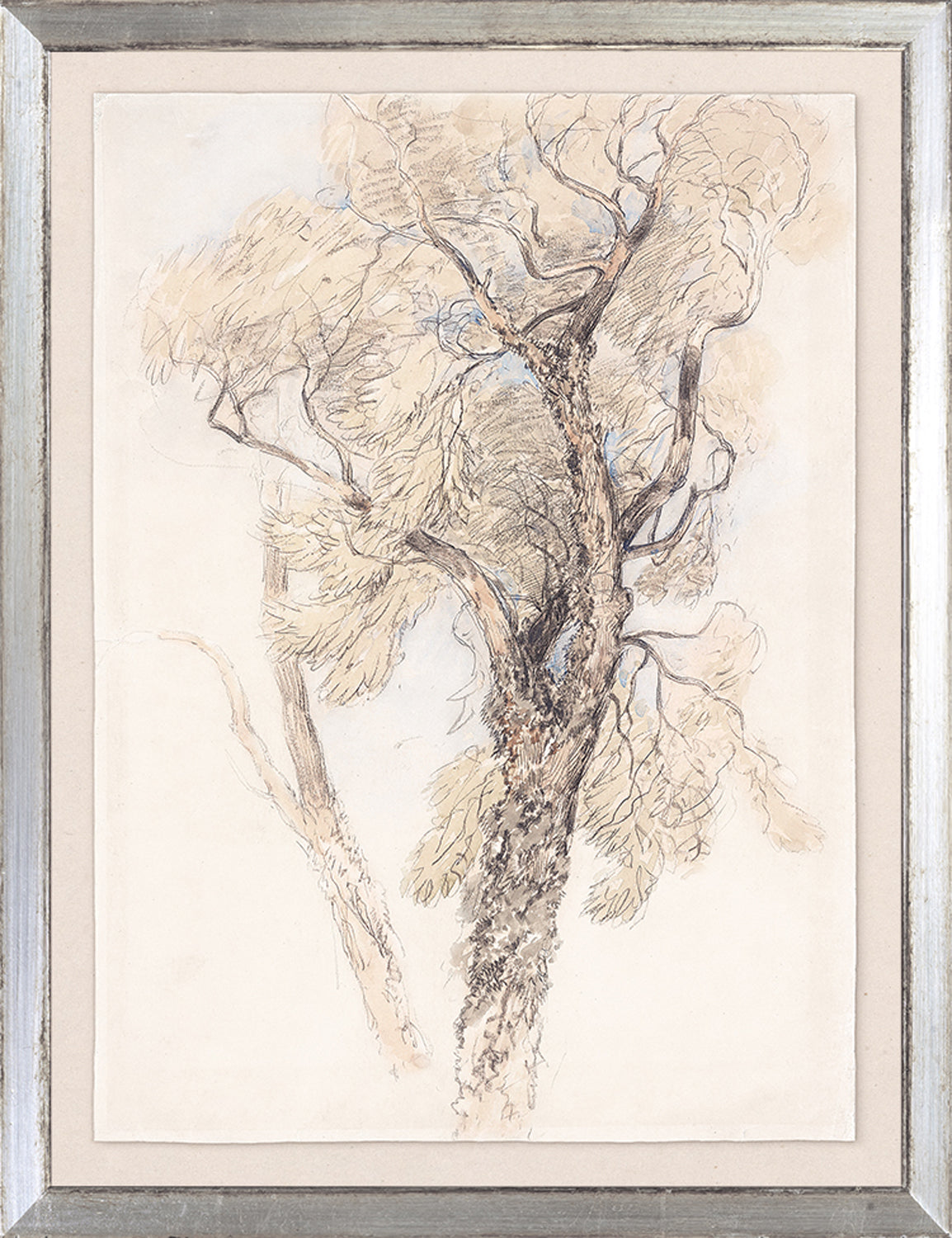 Collection 24 - Watercolour Tree Study C. 1889 - Small
