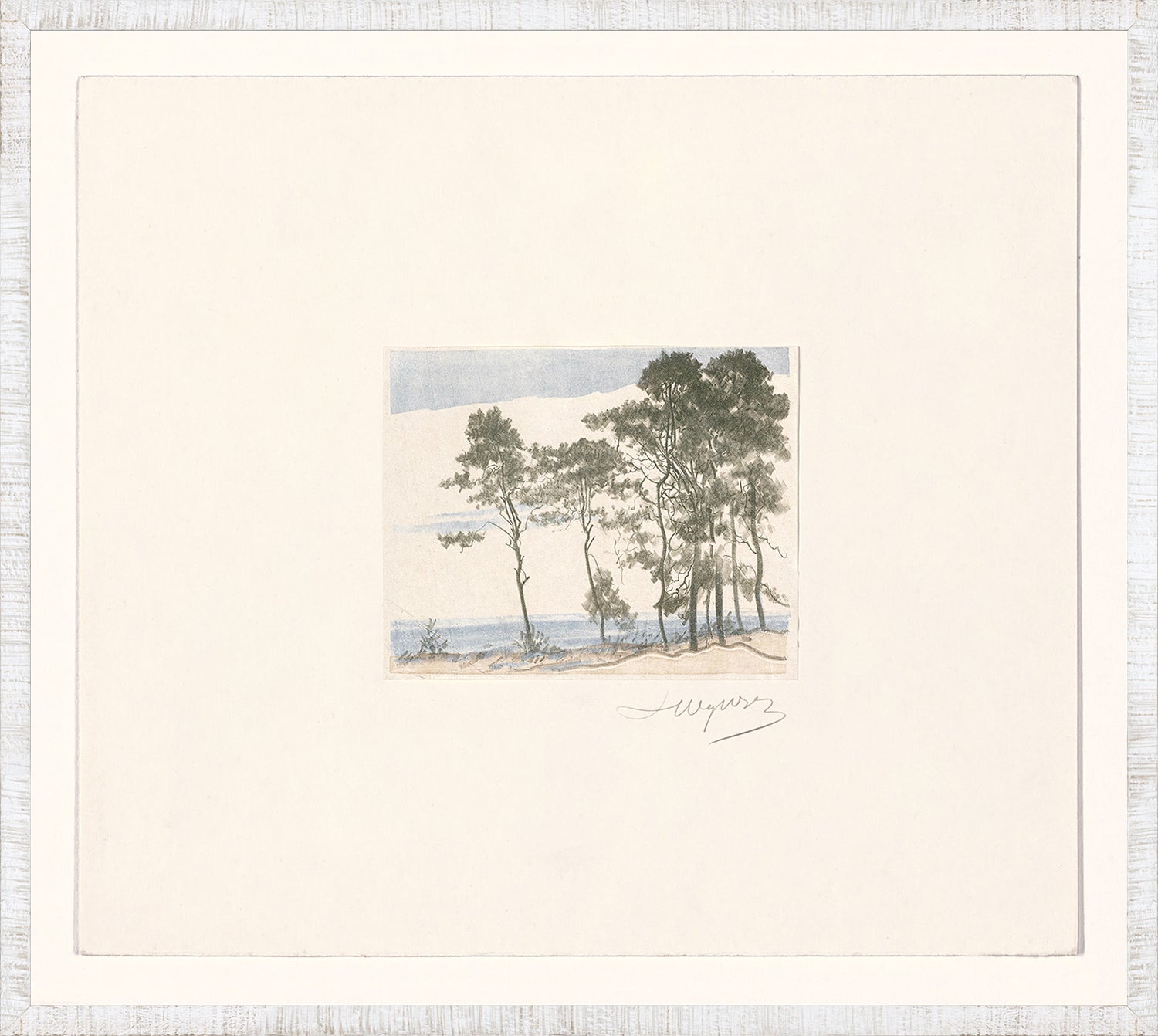 Collection 24 - Sand Dunes C. 1902 - Large