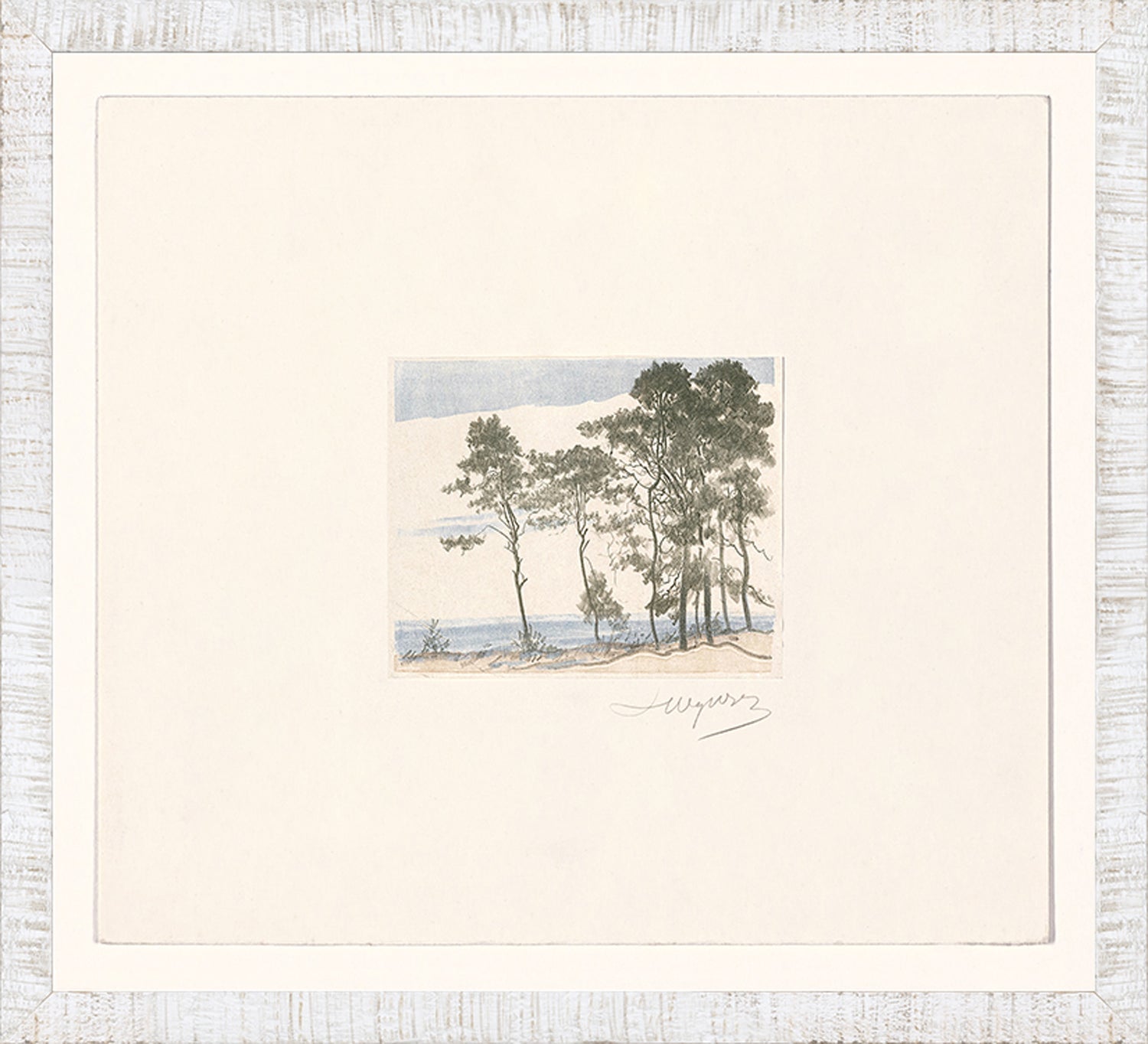 Collection 24 - Sand Dunes C. 1902 - Small
