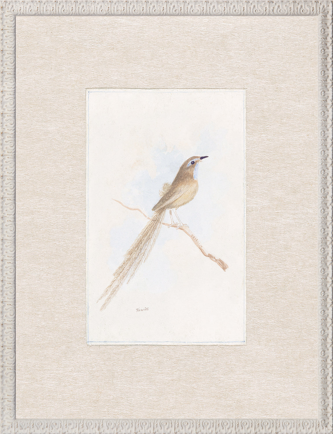 Collection 24 - Songbird C. 1847 - Large