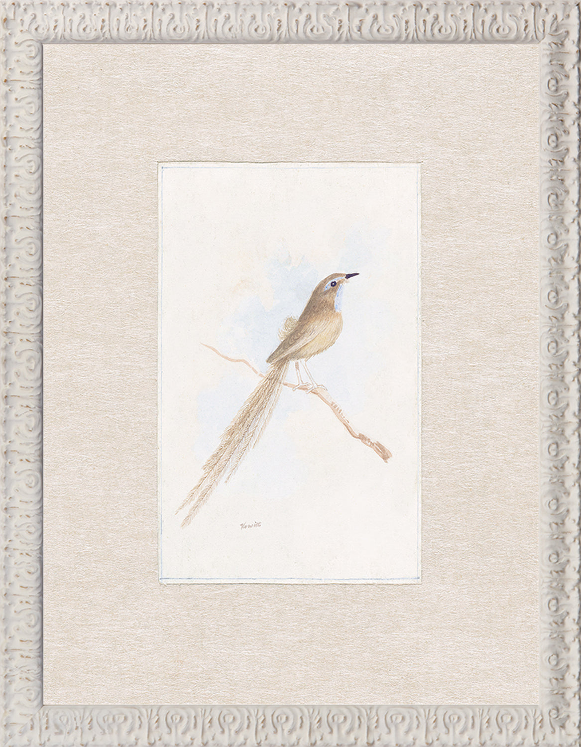 Collection 24 - Songbird C. 1847 - Small