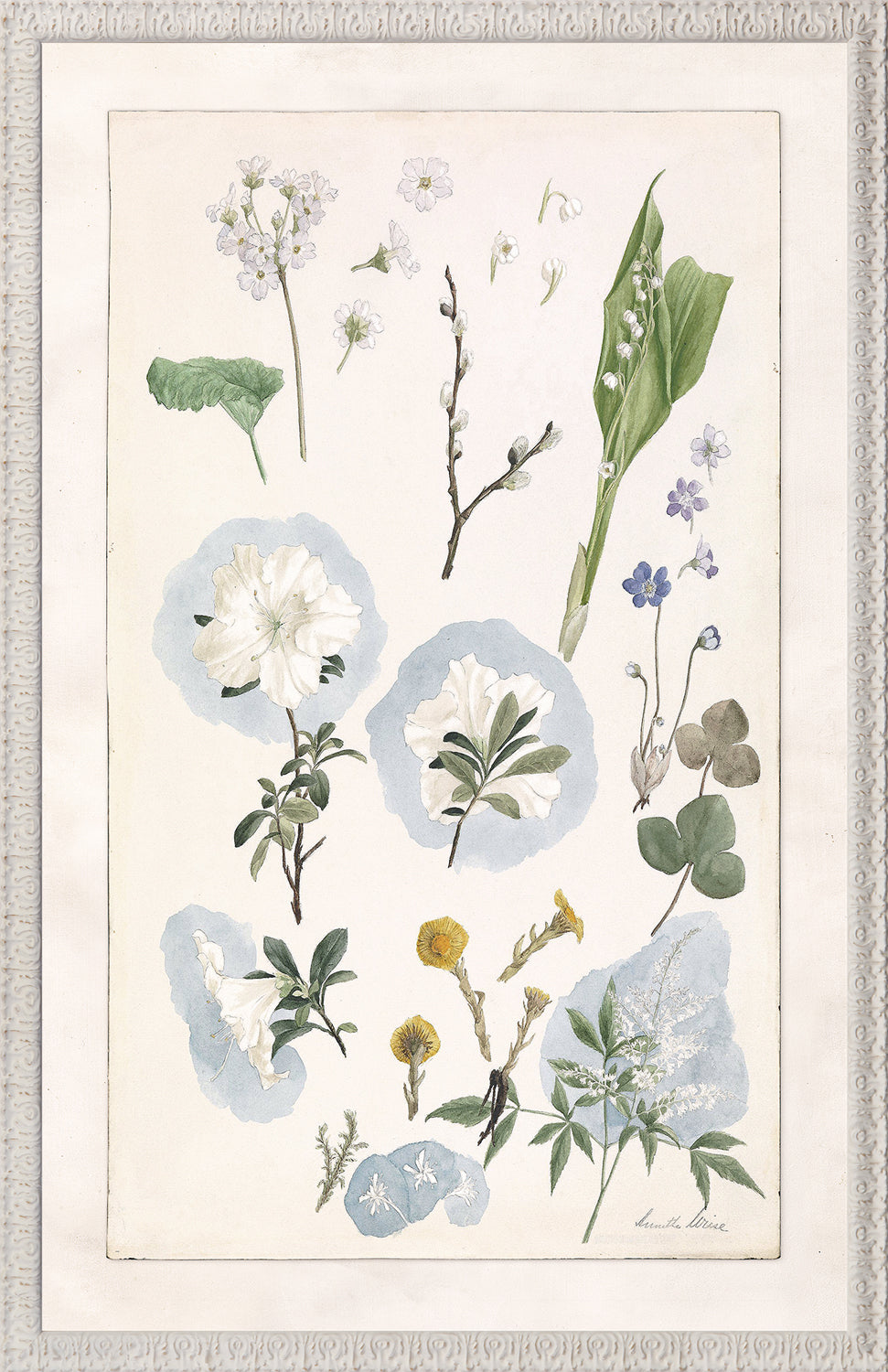 Collection 24 - Spring Garden Study C. 1897 - Large