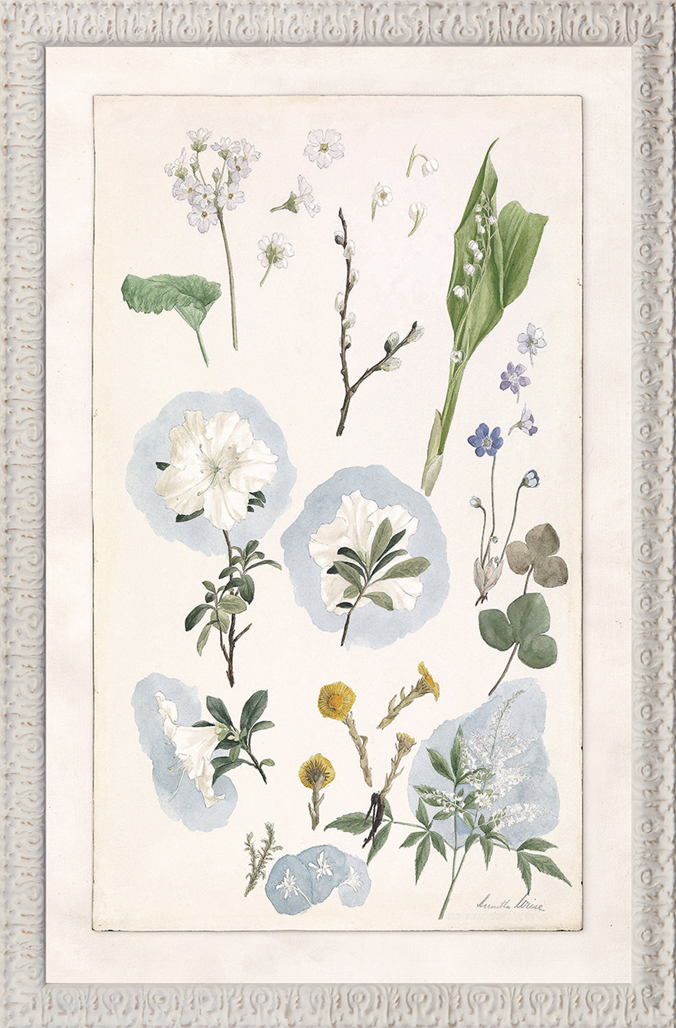 Collection 24 - Spring Garden Study C. 1897 - Small