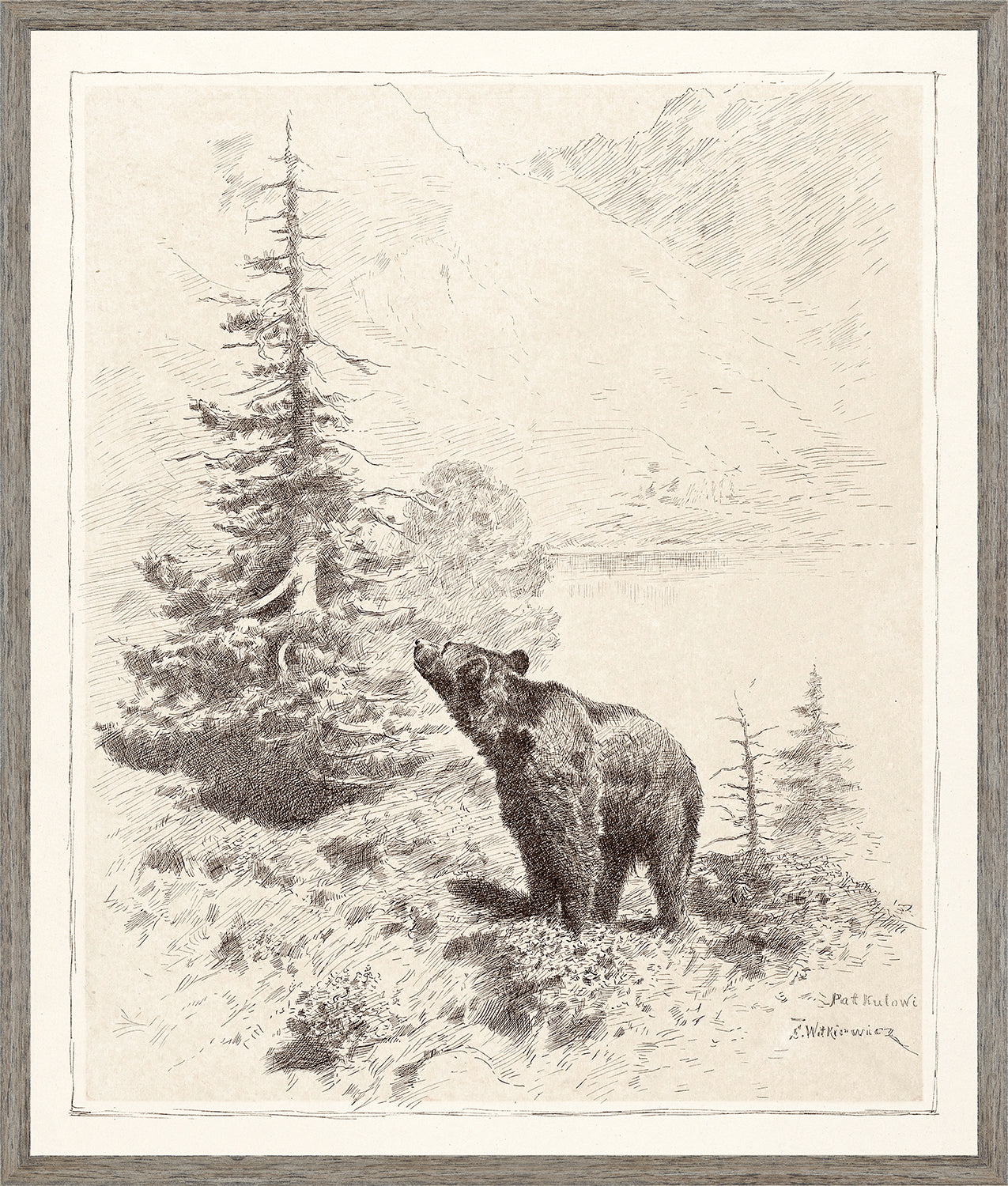 Bear in the Mountains C. 1886