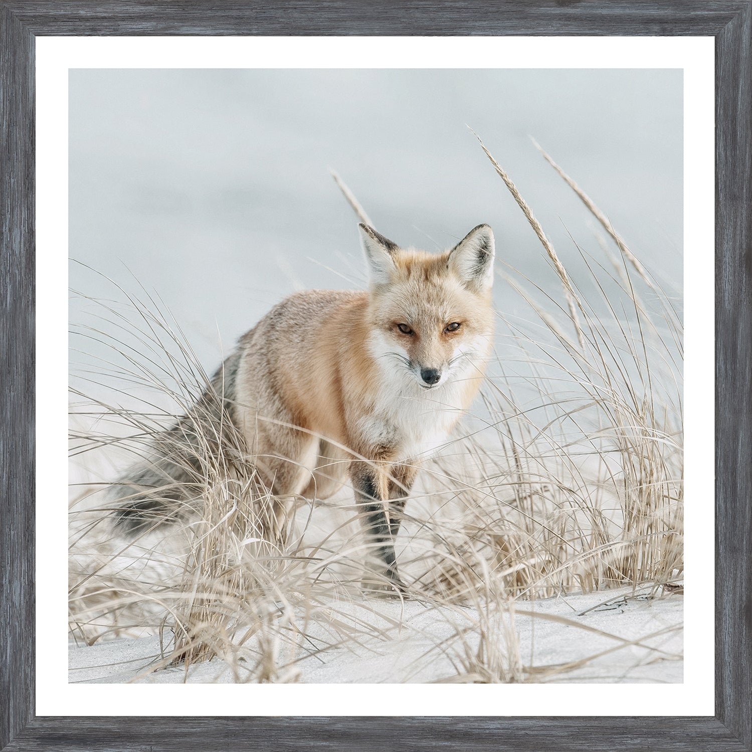 Fox on the Beach - Mod. Farm Mini - Grey