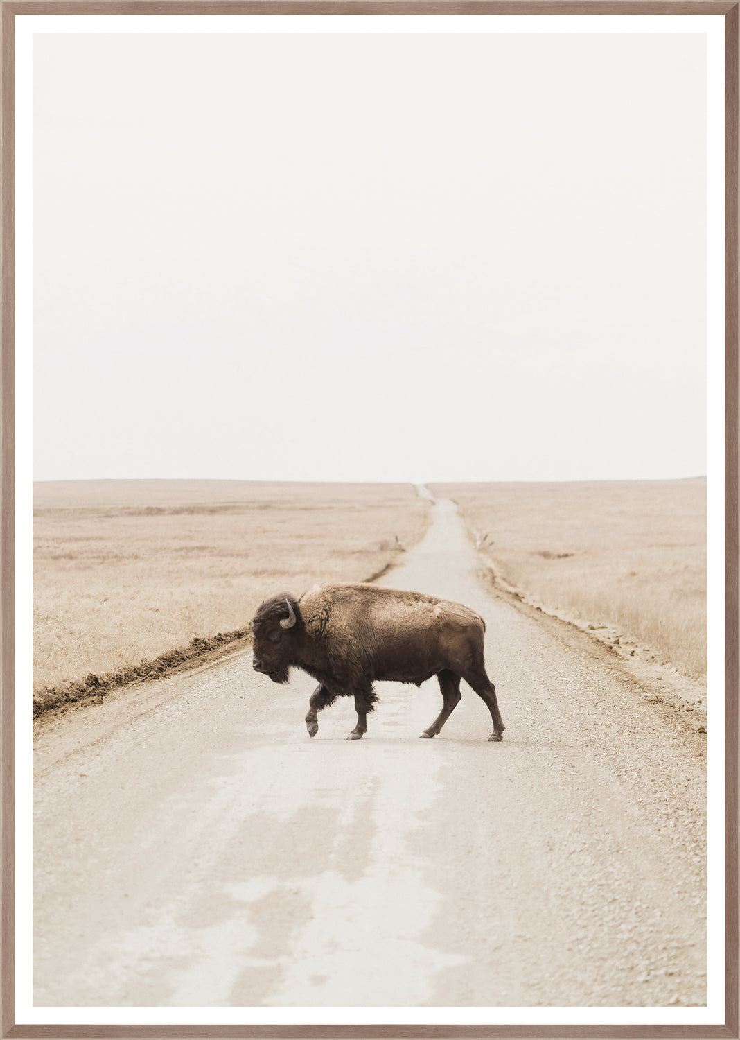 Prairie Range