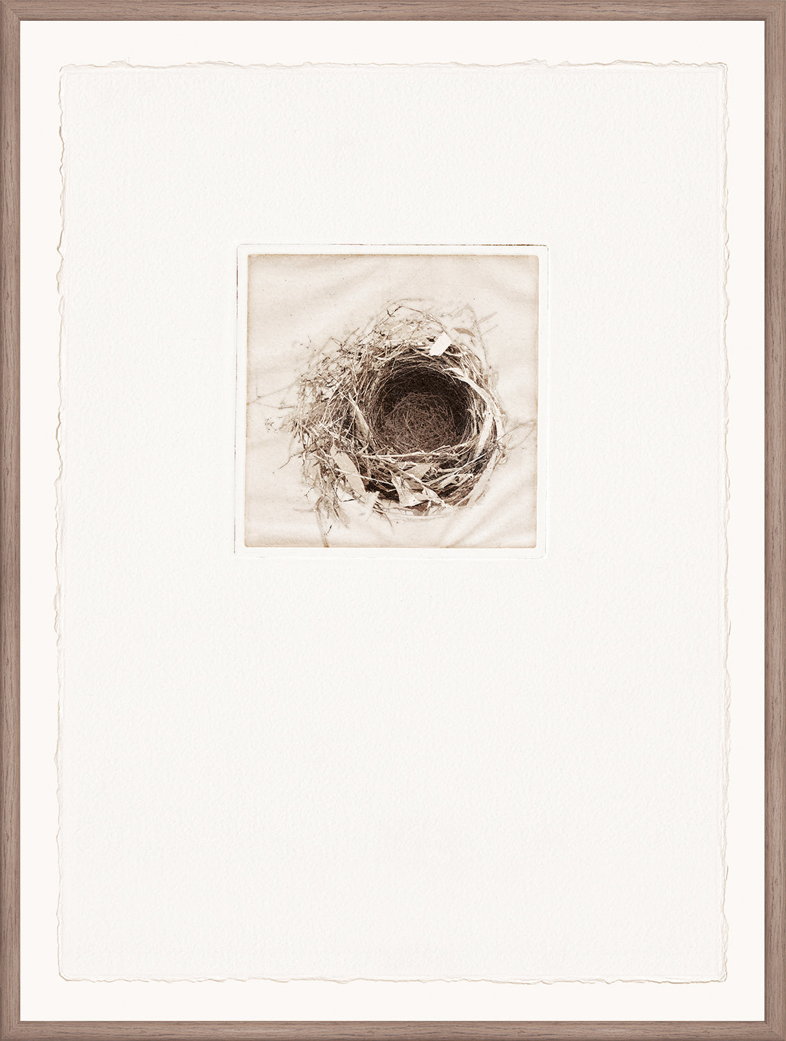 Intaglio Nests IV