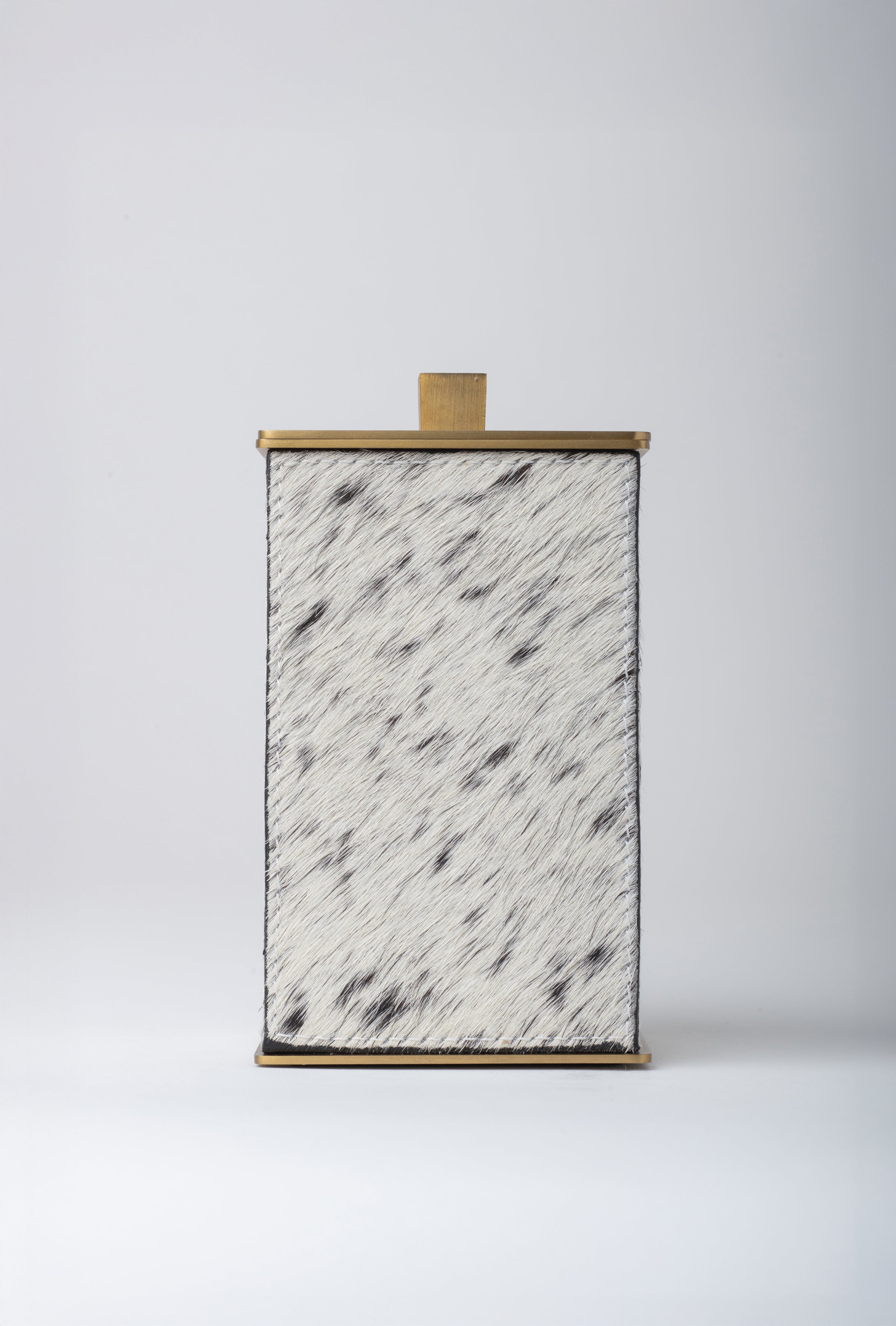 Brindled Mane Trash Bin