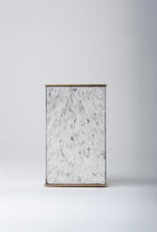 Brindled Mane Tissue Box