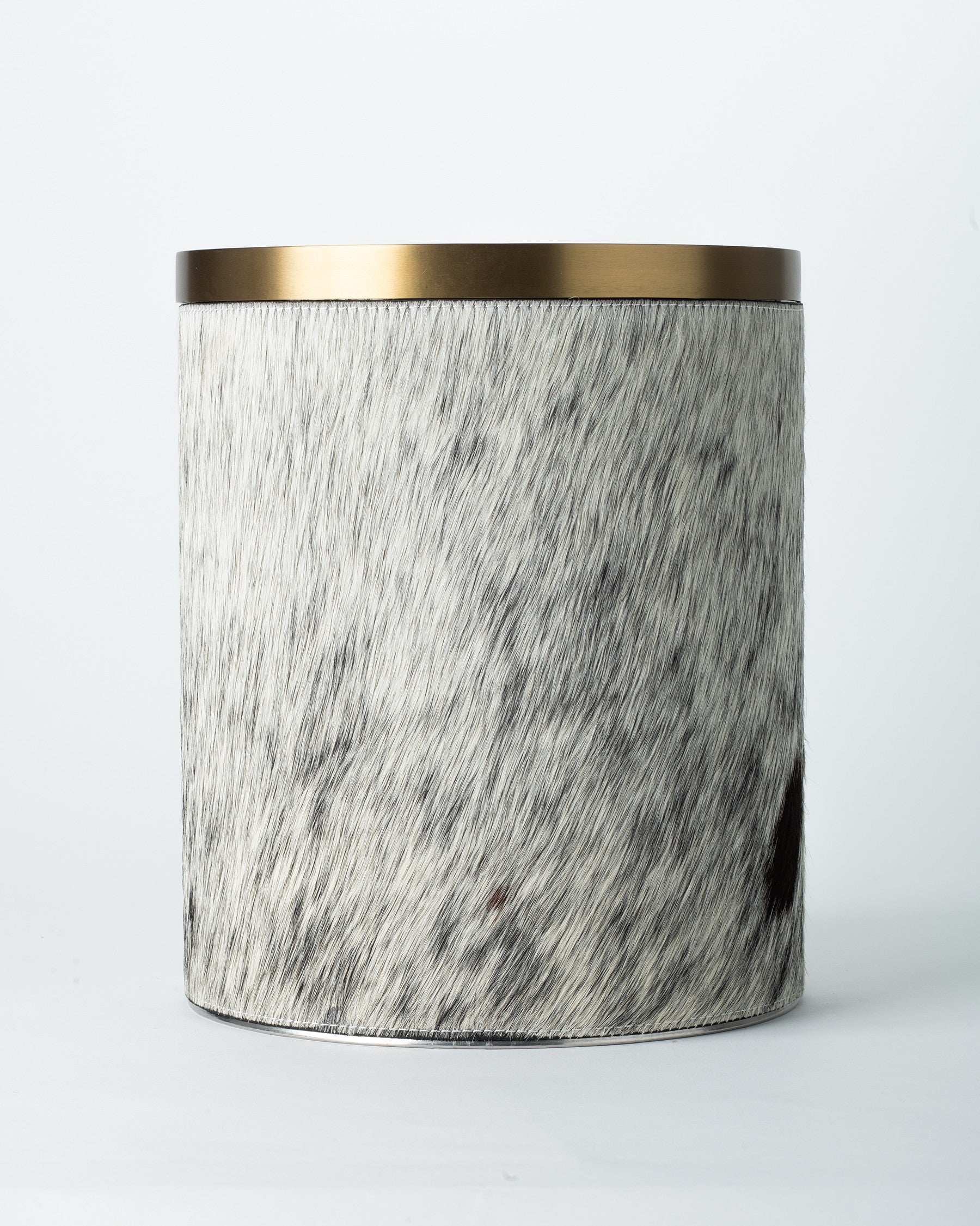 Brindled Mane Trash Bin