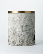 Brindled Mane Trash Bin